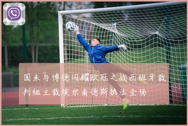 国米与博德闪耀欧冠之战西班牙裁判组主裁埃尔南德斯执法全场