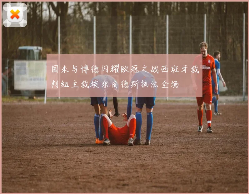 国米与博德闪耀欧冠之战西班牙裁判组主裁埃尔南德斯执法全场