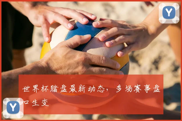 世界杯赌盘最新动态,多场赛事盘口生变