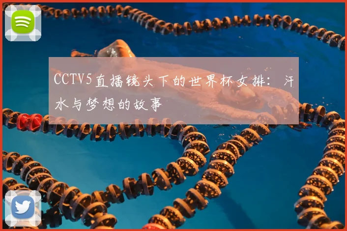 CCTV5直播镜头下的世界杯女排:汗水与梦想的故事