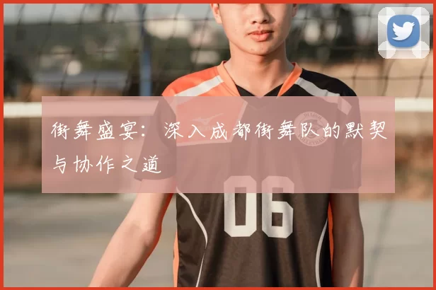 街舞盛宴：深入成都街舞队的默契与协作之道