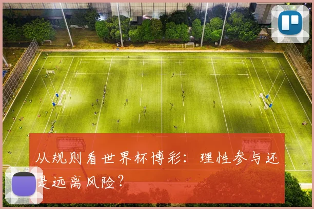 从规则看世界杯博彩：理性参与还是远离风险？