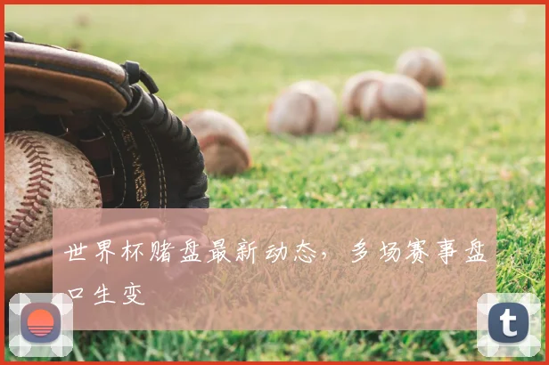 世界杯赌盘最新动态,多场赛事盘口生变