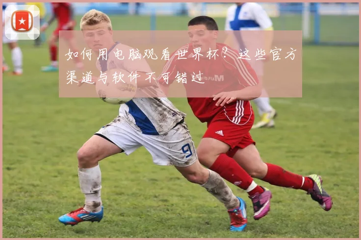 如何用电脑观看世界杯？这些官方渠道与软件不可错过