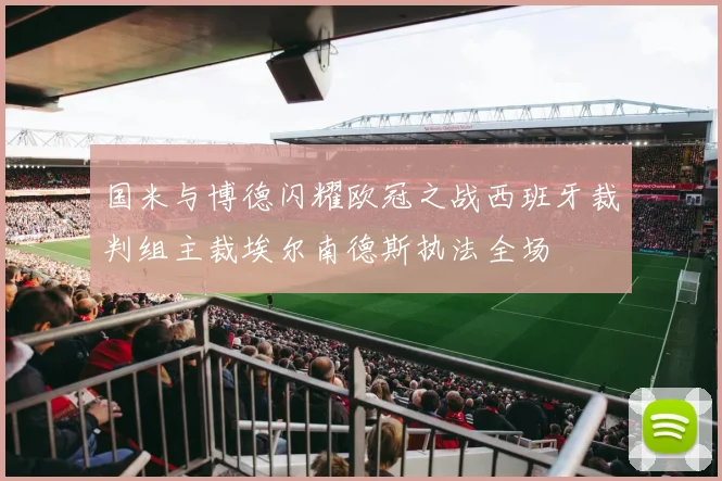 国米与博德闪耀欧冠之战西班牙裁判组主裁埃尔南德斯执法全场