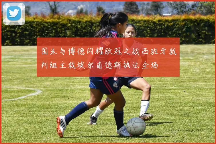 国米与博德闪耀欧冠之战西班牙裁判组主裁埃尔南德斯执法全场