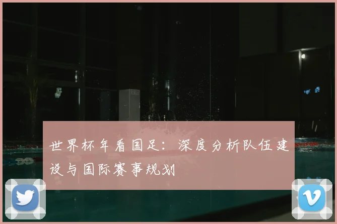 世界杯年看国足:深度分析队伍建设与国际赛事规划