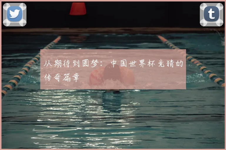 从期待到圆梦:中国世界杯竞猜的传奇篇章