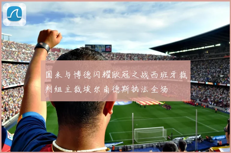 国米与博德闪耀欧冠之战西班牙裁判组主裁埃尔南德斯执法全场