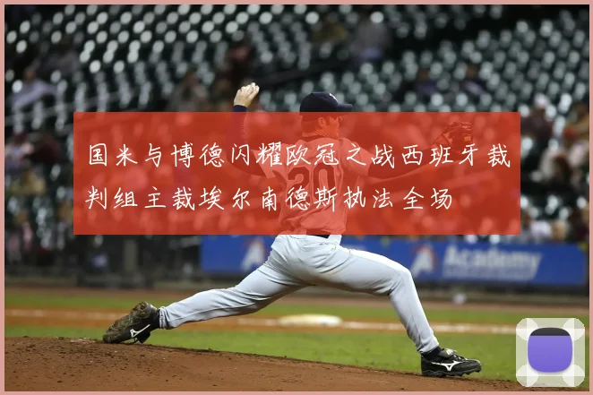 国米与博德闪耀欧冠之战西班牙裁判组主裁埃尔南德斯执法全场