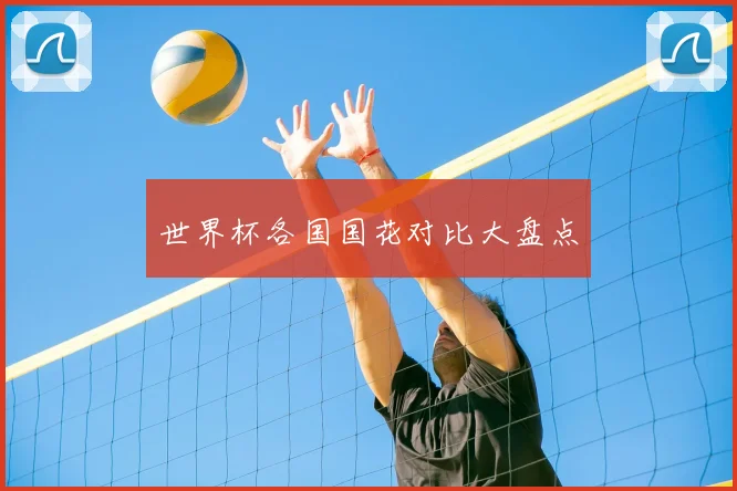 世界杯各国国花对比大盘点