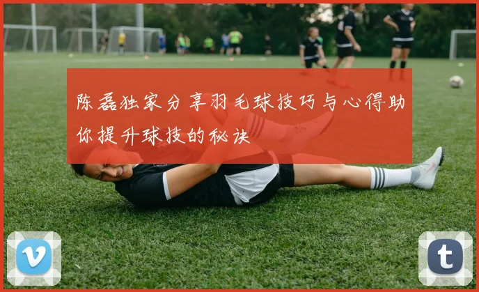 陈磊独家分享羽毛球技巧与心得助你提升球技的秘诀
