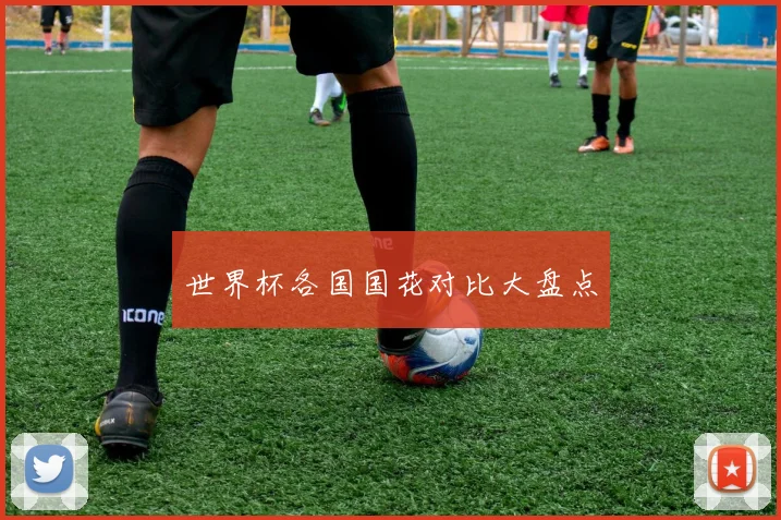 世界杯各国国花对比大盘点