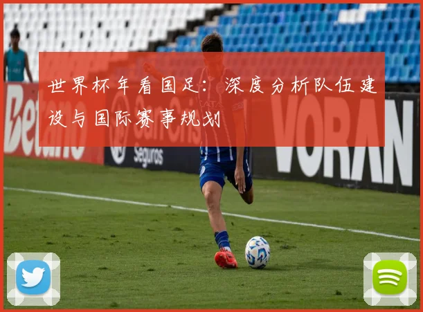 世界杯年看国足:深度分析队伍建设与国际赛事规划