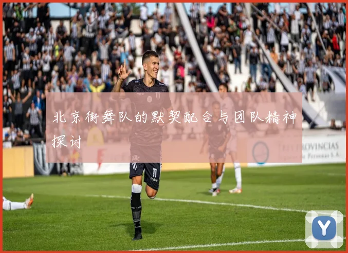 北京街舞队的默契配合与团队精神探讨