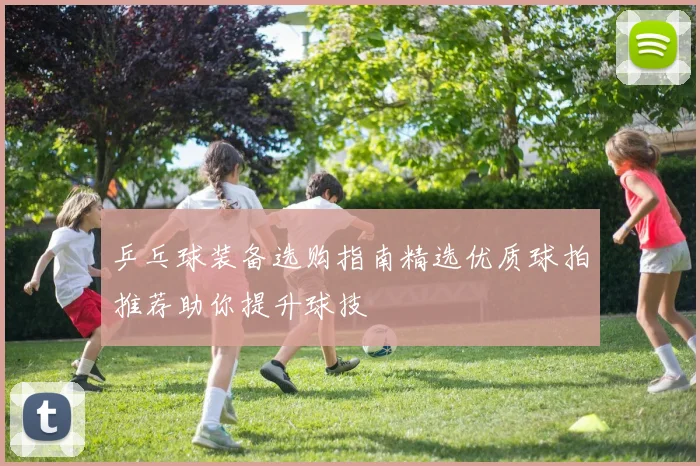 乒乓球装备选购指南精选优质球拍推荐助你提升球技