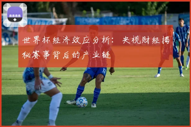 世界杯经济效应分析:央视财经揭秘赛事背后的产业链