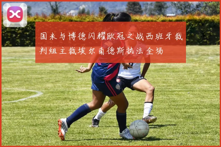 国米与博德闪耀欧冠之战西班牙裁判组主裁埃尔南德斯执法全场