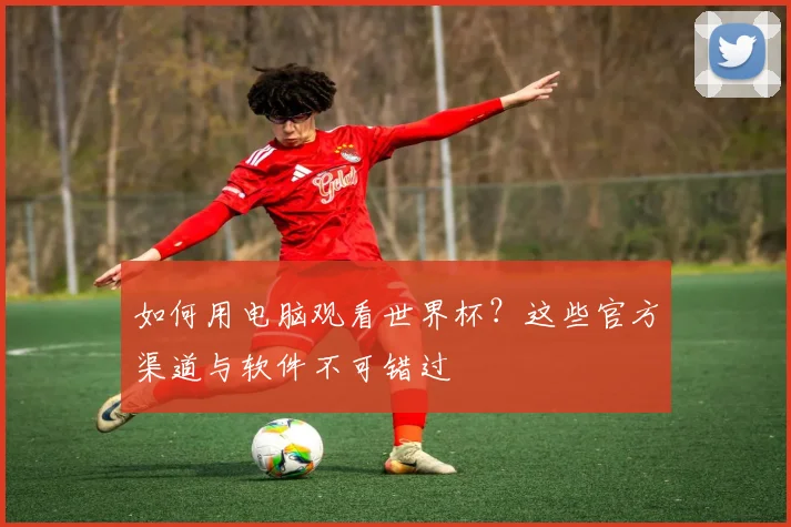 如何用电脑观看世界杯？这些官方渠道与软件不可错过