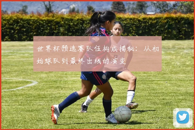 世界杯预选赛队伍构成揭秘:从初始球队到最终出线的演变