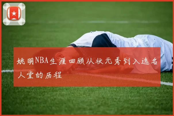 姚明NBA生涯回顾从状元秀到入选名人堂的历程