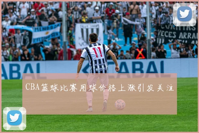 CBA篮球比赛用球价格上涨引发关注