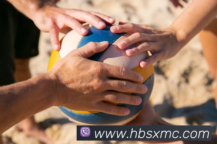 App Interface Preview