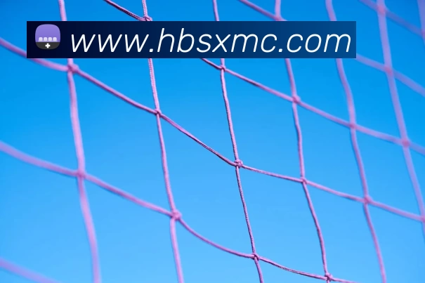 勇士队八年间四次夺冠库里荣获总决赛最有价值球员